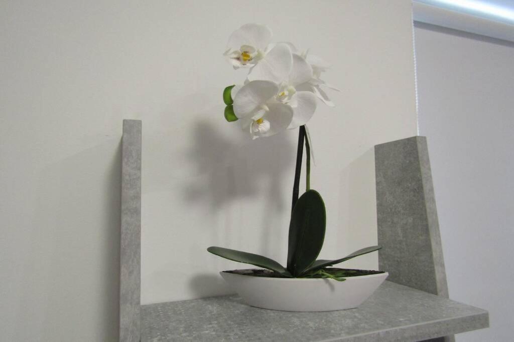 Apartman Megi & Studio Apartman Tomi - Self Check In Krapina Εξωτερικό φωτογραφία