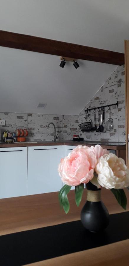 Apartman Megi & Studio Apartman Tomi - Self Check In Krapina Εξωτερικό φωτογραφία
